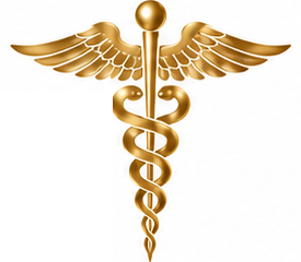 Gold caduceus from the elev8HRT logo